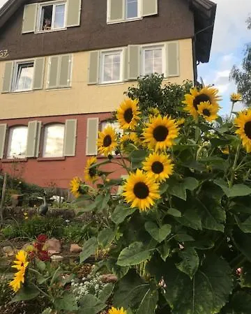 Sonnige Ferienwohnung